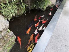 -佛山顺德香云纱园林酒店(清晖园店)