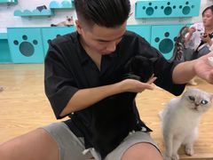 -萌喵咖啡屋(人民东路4号口M16商铺店)