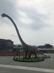 点击看大图 -恐龙探索乐园(磁器口店)