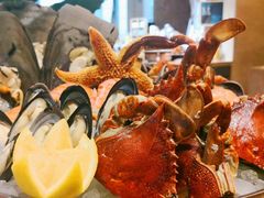 -济南喜来登酒店-盛宴自助西餐厅·综合自助