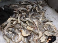 -韩盛炭火烤肉(万达广场店)