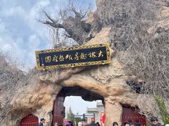 -大槐树寻根祭祖园