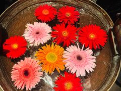 -花马天堂云南餐厅 Lost Heaven(外滩店)