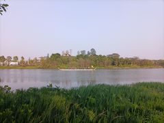 -海珠湖公园