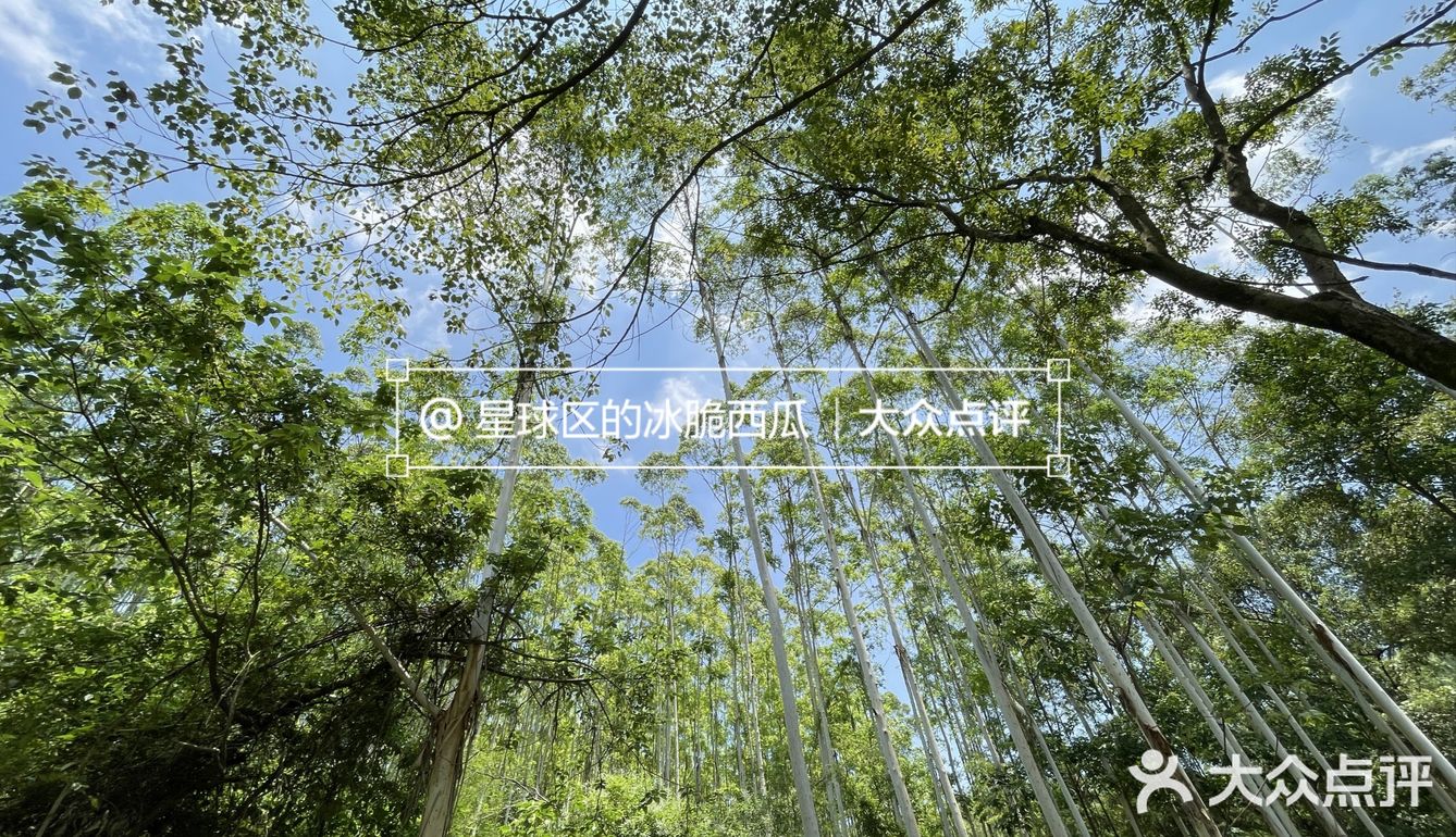 🧩记录在韶关的一个平常周末💭