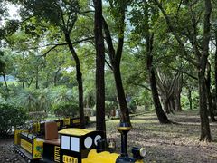 -东南花都花博园