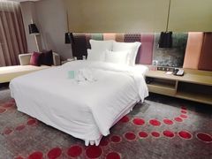 -南京禄口机场雅高铂尔曼大酒店