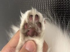 -comecome来吧宠物(奥克斯中心店)