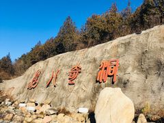 -八奇洞景区