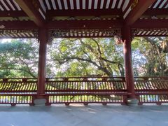 -乌山风景区