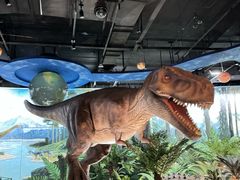 -陕西自然博物馆