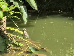 -人民公园(罗湖区)