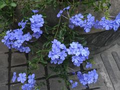 -蟹山公园