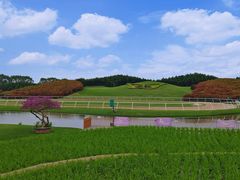 -迪茵湖田家舍生态农场