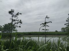 -苏州太湖湖滨国家湿地公园