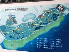 -吴淞炮台湾湿地森林公园烧烤区