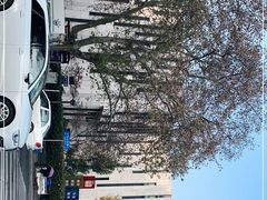 -江苏省美术馆(长江路新馆)