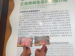 -正佳雨林生态植物园