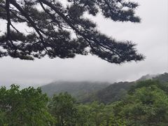 -天津盘山风景名胜区