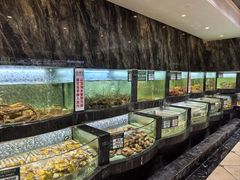 -德天肥牛海鲜火锅(城西银泰店)