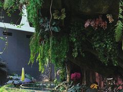 -正佳雨林生态植物园