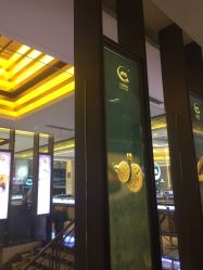 -中国黄金(北京旗舰店)