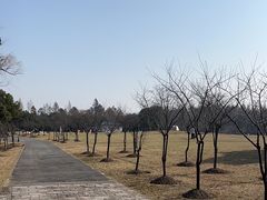 -上海滨江森林公园