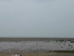 -启东黄金海滩景区