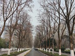 -后襄河公园