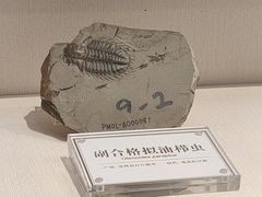 -辽宁古生物博物馆