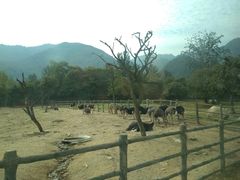 -西安秦岭野生动物园