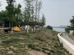 -灞河西岸滨河公园