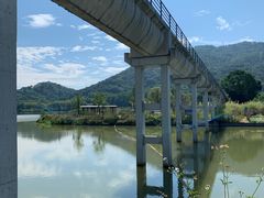 -风云岭森林公园