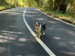 -孔雀湖生态旅游区