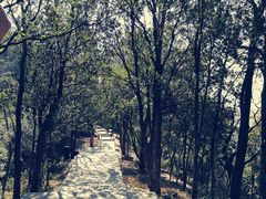 -梧桐山风景名胜区