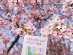 -上海辰山植物园