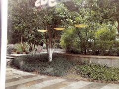 -Wagas沃歌斯(大学路店)