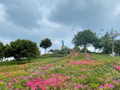 -东莞植物园