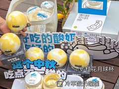 -白色日记·手作酸奶(麦凯乐店)