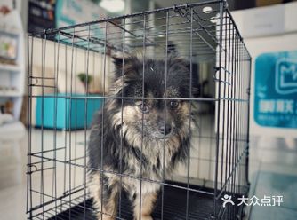 boris·黑,你出生那天就在我们小区,然后一岁的你