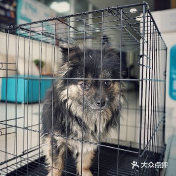 boris·黑，你出生那天就在我们小区，然后一岁的你