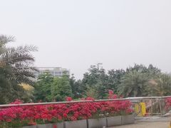 -探鱼·鲜青椒爽麻烤鱼(天河优托邦店)