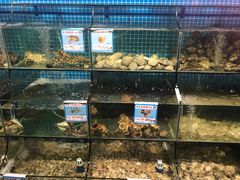 水产区-范饭椰林川湘味海鲜·椰子鸡(三亚湾椰梦长廊店)