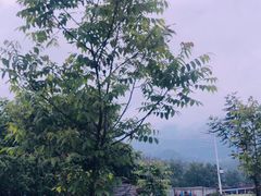 -大蜀山国家森林公园
