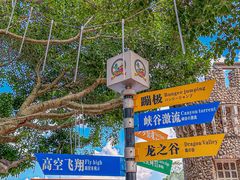 -温州乐园