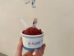 -海比甜店·意式手工冰激淋happy habit gelato
