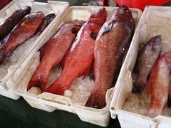 android_upload_pic-海峡水产品交易中心(海鲜交易区)