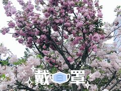 -唐城墙遗址公园