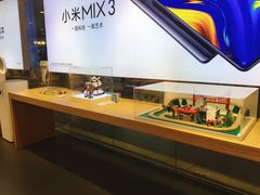 -小米之家(东方宝泰购物中心店)