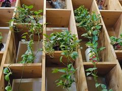 -小草大排档(北沙坡店)